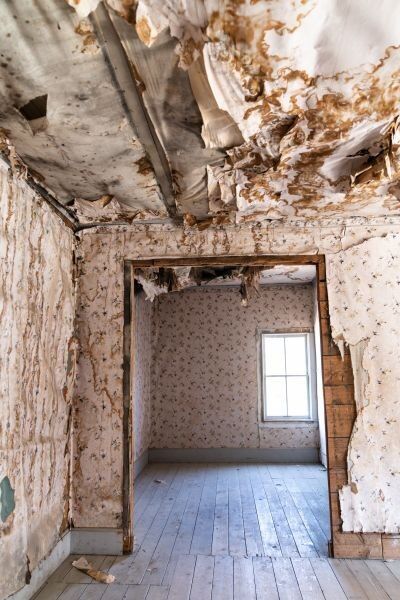 Check Out mold remediation https://waterdamagerestorationproslasvegas.com/wp-content/uploads/2023/07/mold-remediation-property-restoration-health-safety-measures-Las-Vegas-Water-Damage-Restoration-effd1059.jpg