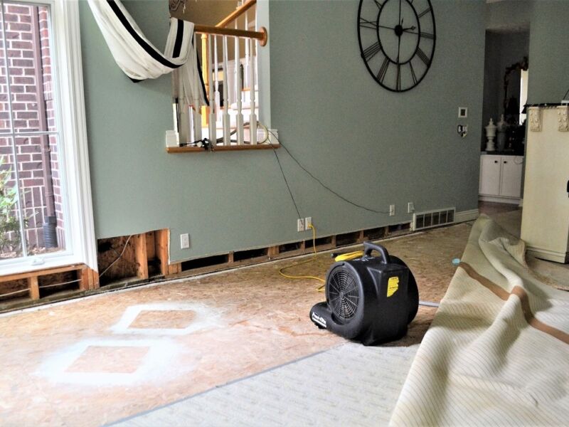 Check Out water damage restoration https://waterdamagerestorationproslasvegas.com/wp-content/uploads/2023/07/water-damage-prevention-water-damage-restoration-flood-damage-repair-Water-Damage-da9188aa.jpg