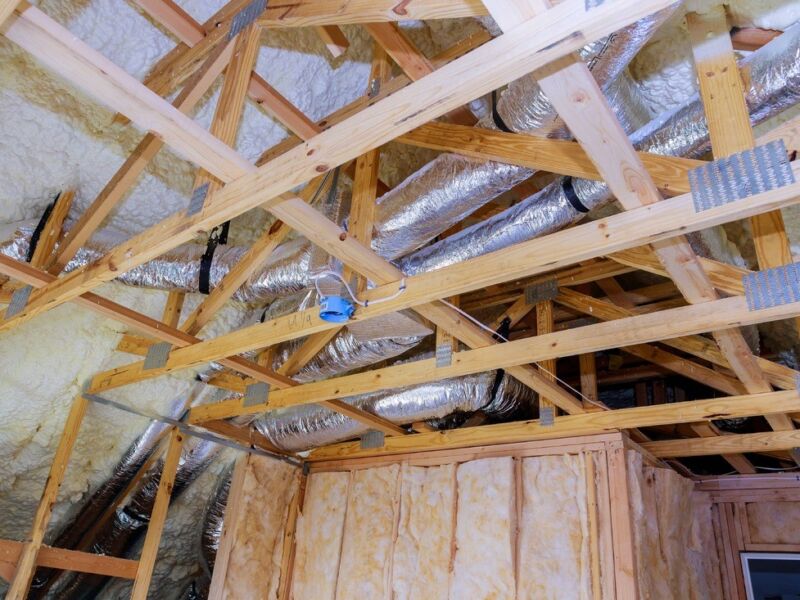 A Photo of Attic Rodent Control https://waterdamagerestorationproslasvegas.com/wp-content/uploads/2023/08/Attic-Repair-Attic-Renovation-Attic-Restoration-Attic-Insulation-Services-Attic-Cleaning-Attic-Leak-Repair-Attic-Waterproofing-Attic-Ventilation-Attic-Mold-Removal-Attic-Rodent-Control-Attic-Structural-Repairs-Attic-HVAC-Repair-Attic-Repair-23244a0d.jpg