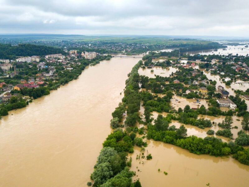 Check Out emotional strength https://waterdamagerestorationproslasvegas.com/wp-content/uploads/2023/08/Triumph-over-Tragedy-overcoming-adversity-resilience-perseverance-personal-growth-emotional-strength-lessons-learned-inspiration-mental-health-Self-improvement-7338990c.jpg